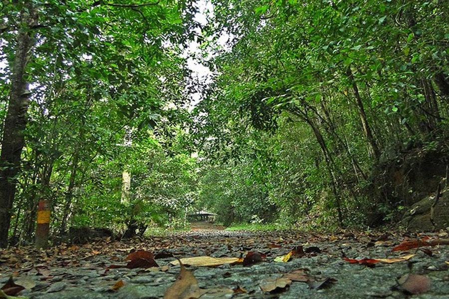 Beach Gateway to Sri Lanka